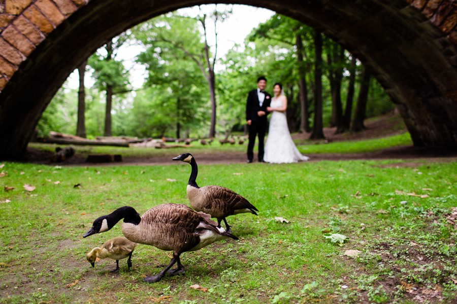 Alden castle wedding brookline riverway goose.